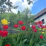 Chalet House Blanka,kuca Za Odmor *