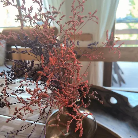 Chalet House Blanka,kuca Za Odmor *