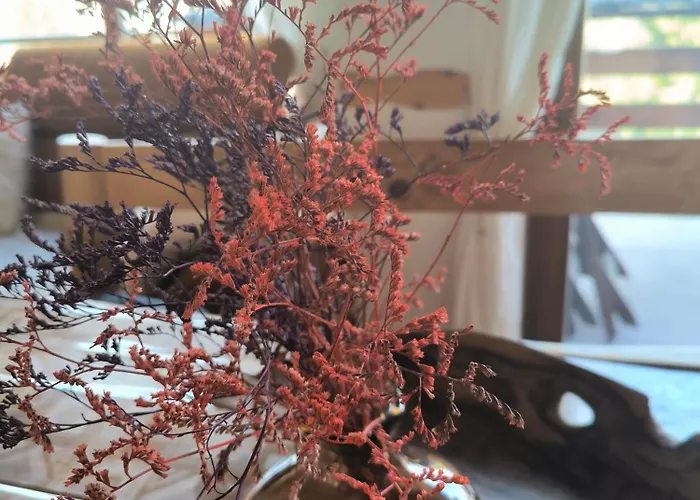 샬레 House Blanka,kuca Za Odmor *