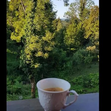 House Blanka,kuca Za Odmor Skrad