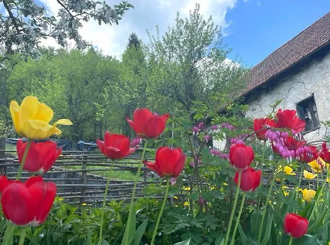 בקתה House Blanka,kuca Za Odmor *