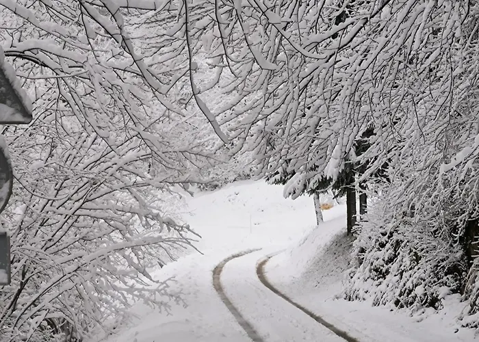 House Blanka,kuca Za Odmor בקתה
